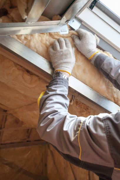 Best Insulation Removal  in Bradner, OH